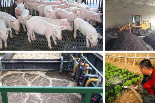 養(yǎng)殖污水處理一體設(shè)備多少錢？養(yǎng)殖污水處理方法