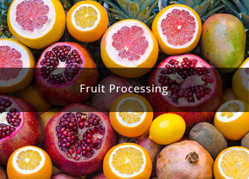 食品廠污水處理新思路，印度食品污水處理經(jīng)驗淺析01