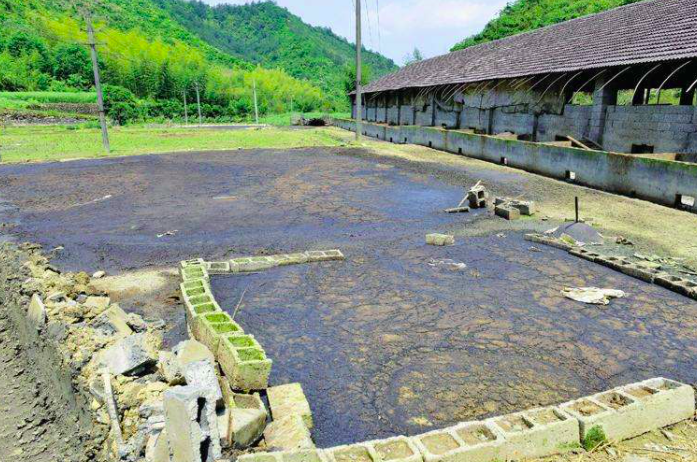 養(yǎng)豬污水變清水最快方法，養(yǎng)豬場(chǎng)污水處理方法有哪些-樂中環(huán)保