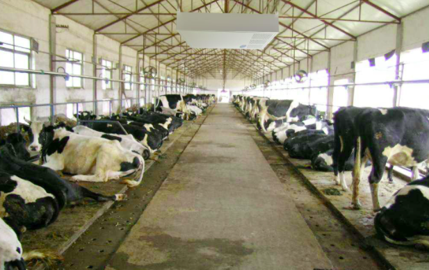 養(yǎng)殖屠宰污水處理設(shè)備使用前，要注意這兩點(diǎn)！01