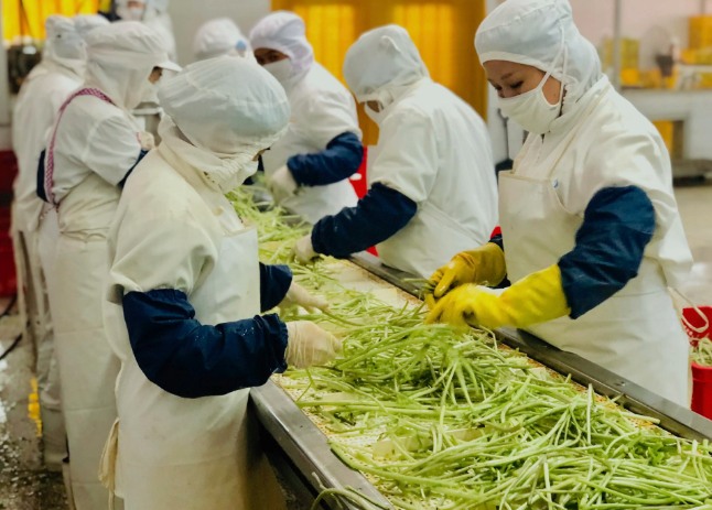 三種食品污水處理設(shè)備工藝流程，看看哪種適合您？